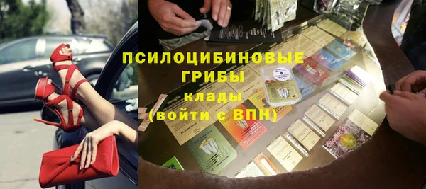 дмт Няндома